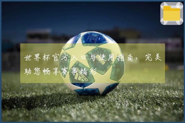世界杯官方入口与使用指南，完美助您畅享赛事精彩