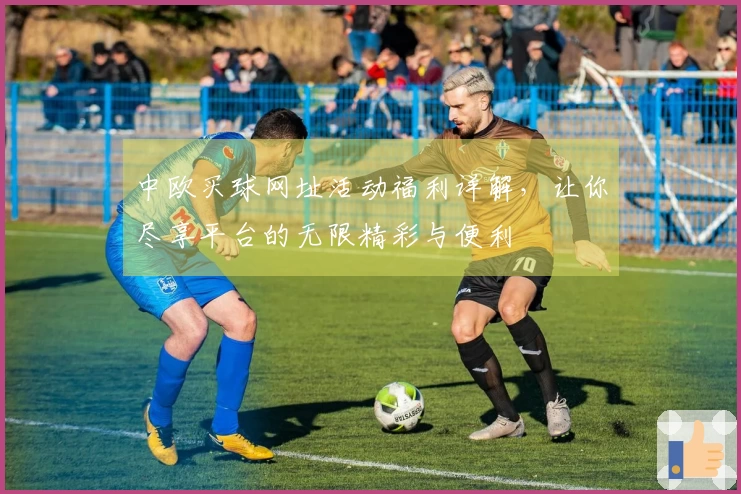 中欧买球网址活动福利详解，让你尽享平台的无限精彩与便利