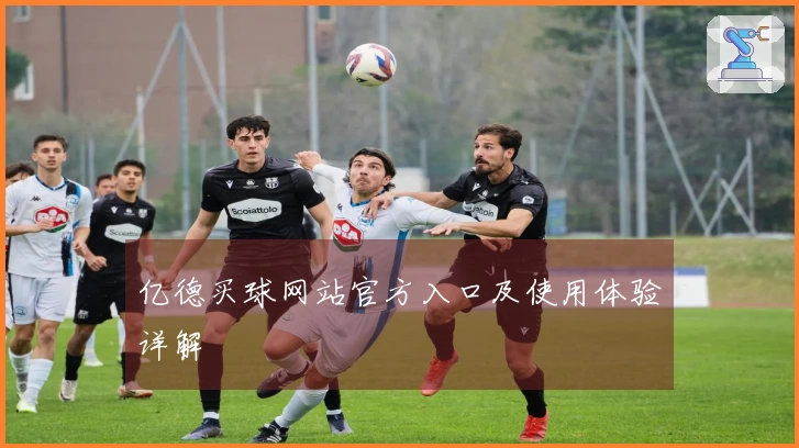 亿德买球网站官方入口及使用体验详解
