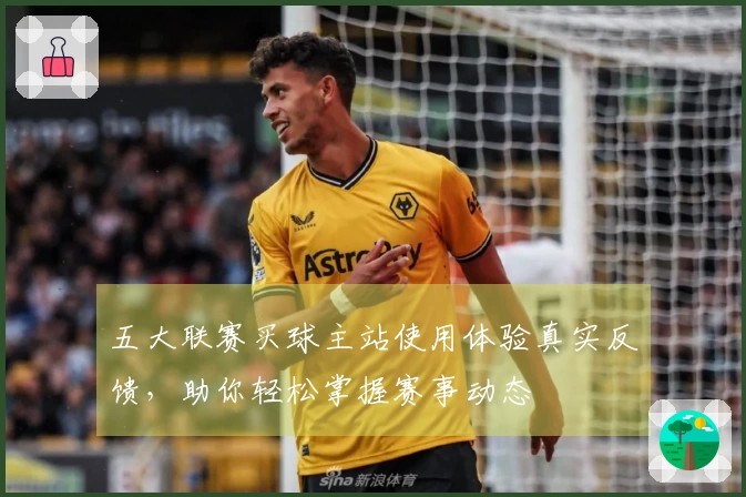 五大联赛买球主站使用体验真实反馈，助你轻松掌握赛事动态