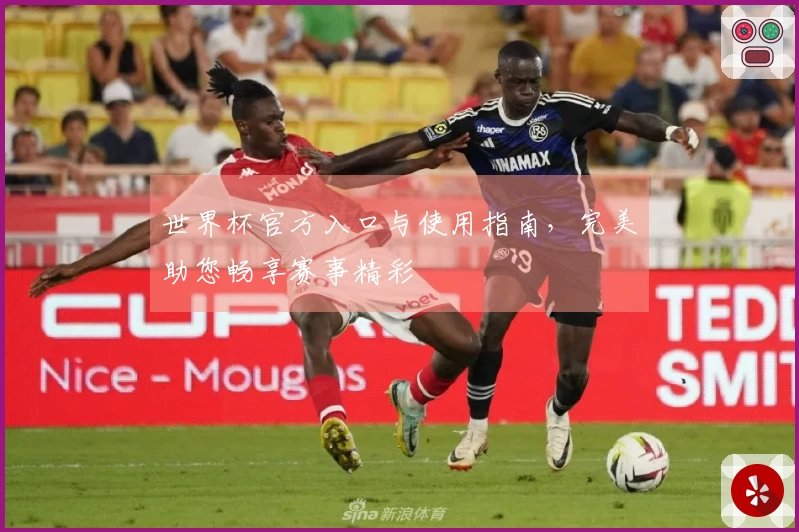世界杯官方入口与使用指南，完美助您畅享赛事精彩